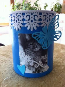 11130334_575856149223597_7671163953008730097_o